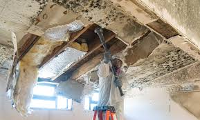 Best Asbestos and Lead Testing During Mold Inspection  in De Soto, IA